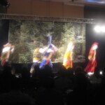 diwalipartybarca 056